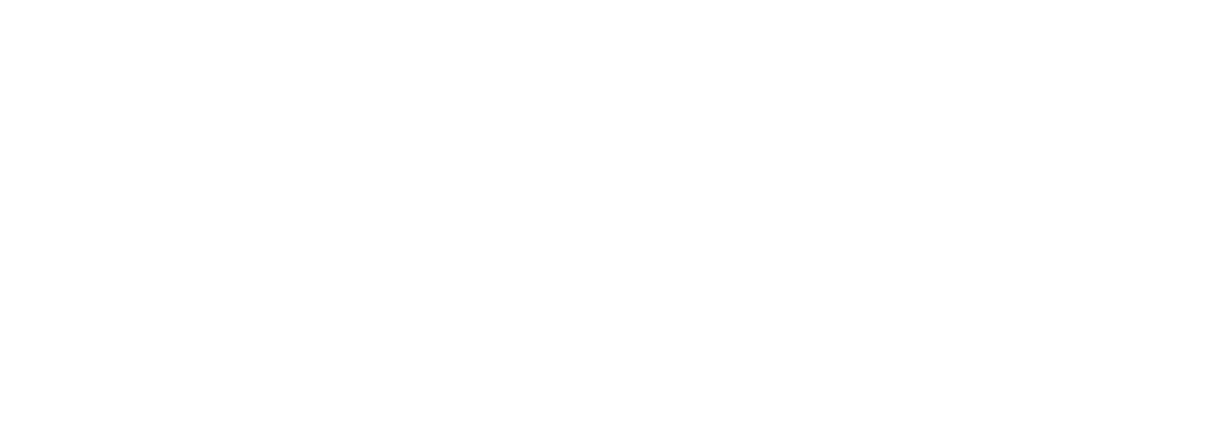 Nordwebin valkoinen logo